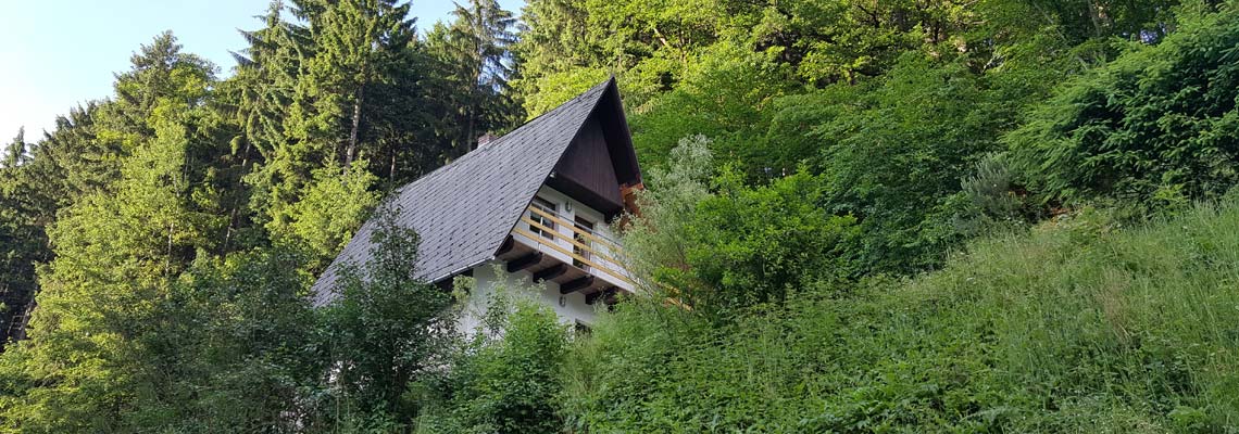 Bildbeschreibung